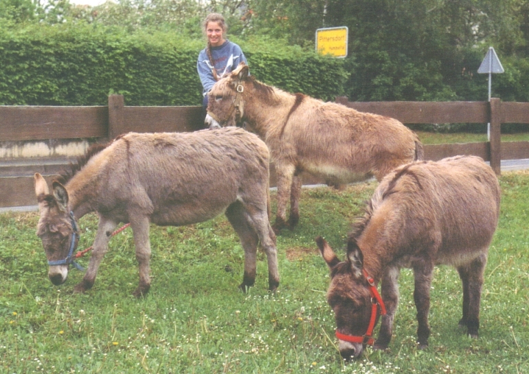 Unsere Eselei