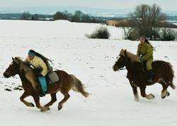 Sternchen und Bastille beim Galoppieren im Schnee.